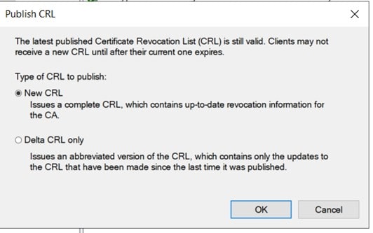 Published Certificate Revocation List (CRL)