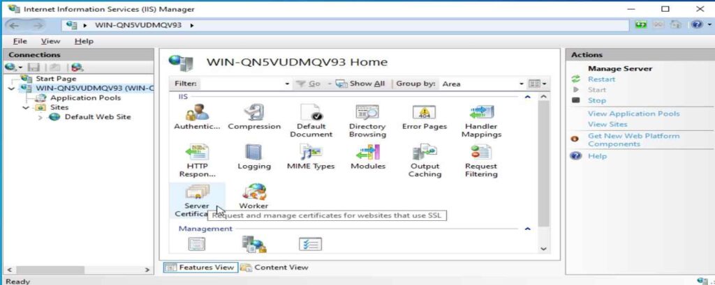 Select Server Certificate in IIS Manager
